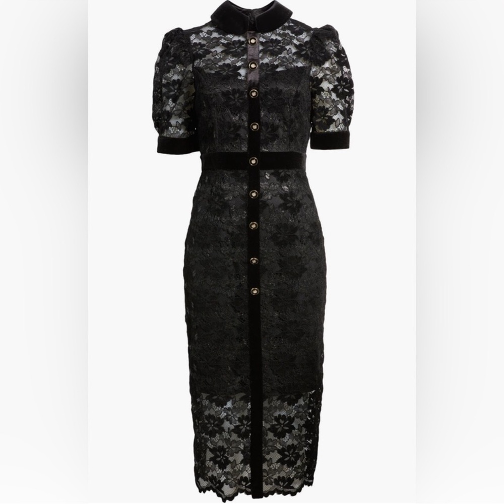 NVLT Black Lace and Velvet Dress